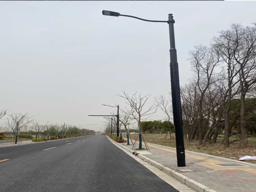 隆阳区上海综合杆 太阳能路灯工程